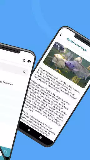 Play LaSinrang - DISKAN PINRANG as an online game LaSinrang - DISKAN PINRANG with UptoPlay