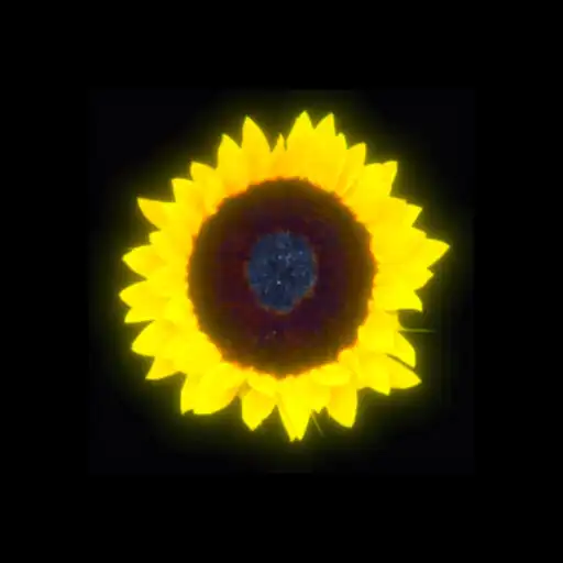 Play Last Summer Iteration APK