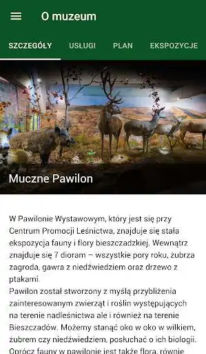 Play Lasy bieszczadzkie as an online game online Lasy bieszczadzkie with UptoPlay pl.mall_navigator.lasybieszczadzkie Play Lasy bieszczadzkie as an online game Lasy bieszczadzkie with UptoPlay