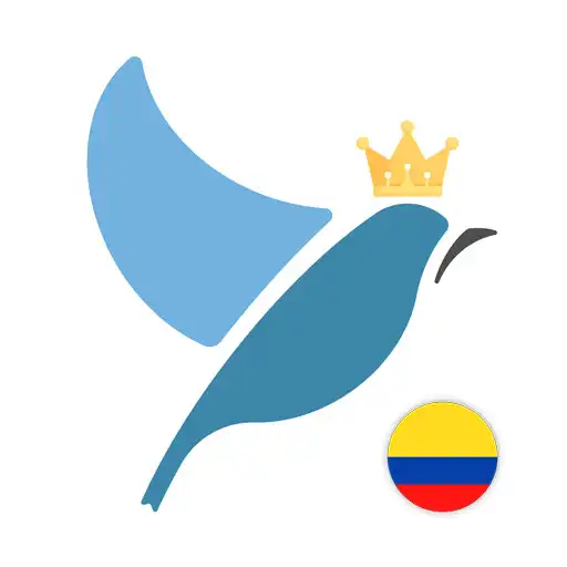 Play Latin American Spanish Tests APK Play Latin American Spanish Tests APK