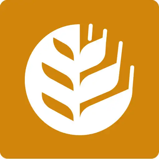 Play La Toque APK Play La Toque APK