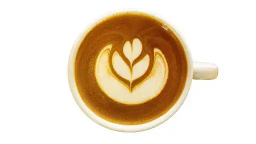 Play Latte Art Grading and enjoy Latte Art Grading with UptoPlay Play Latte Art Grading and enjoy Latte Art Grading with UptoPlay