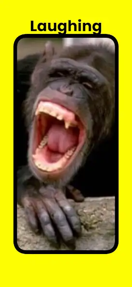 Play Laughing Sound Effect as an online game Laughing Sound Effect with UptoPlay