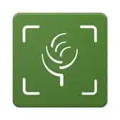 Free play online Lauzon Flooring Reader APK Free play online Lauzon Flooring Reader APK