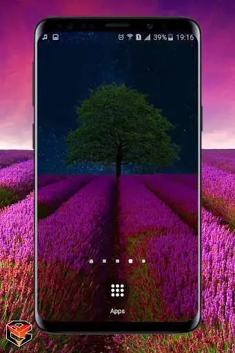 Play Lavander Field Live Wallpaper  and enjoy Lavander Field Live Wallpaper with UptoPlay