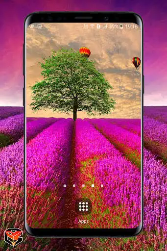 Play Lavander Field Live Wallpaper as an online game Lavander Field Live Wallpaper with UptoPlay