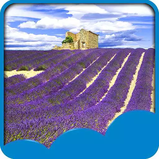 Free play online Lavender Field Live Wallpapers  APK