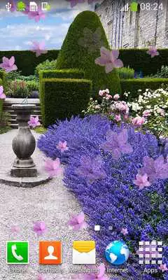 Play Lavender Field Live Wallpapers