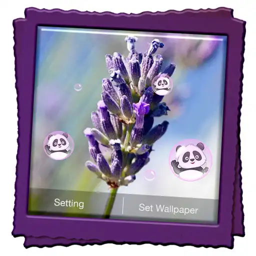 Play Lavender Live Wallpaper APK
