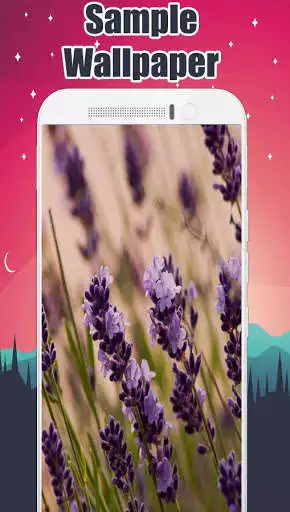 Play APK Lavender Wallpaper - Flower Wallpaper  and enjoy Lavender Wallpaper - Flower Wallpaper with UptoPlay com.Lavenderwallpapers.pictures.backgrounds.photos.images.hd.free.beautiful