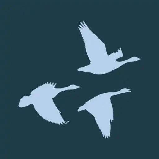 Play Leaders Team APK Play Leaders Team APK