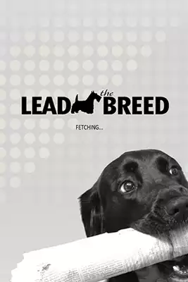 Play Lead the Breed