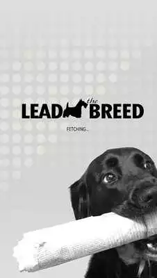 Play Lead the Breed