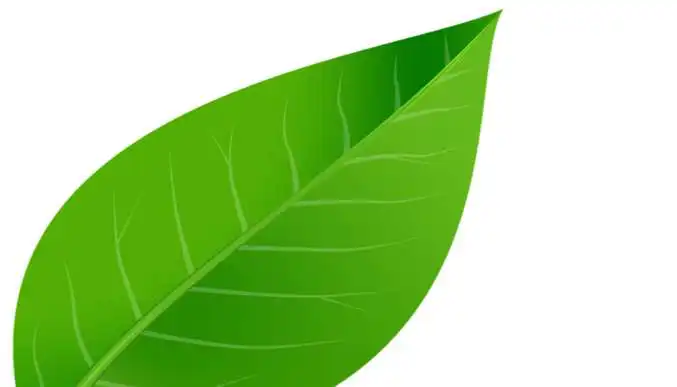 Free play online Leaf and Pebble APK Free play online Leaf and Pebble APK