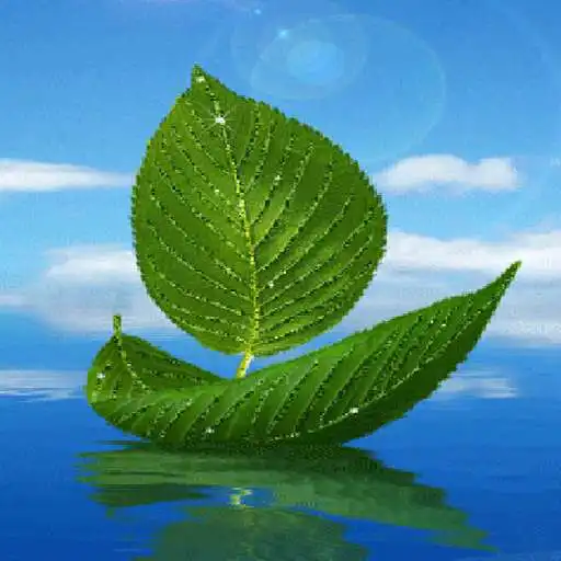 Play Leaf Boat Shine LWP APK Play Leaf Boat Shine LWP APK