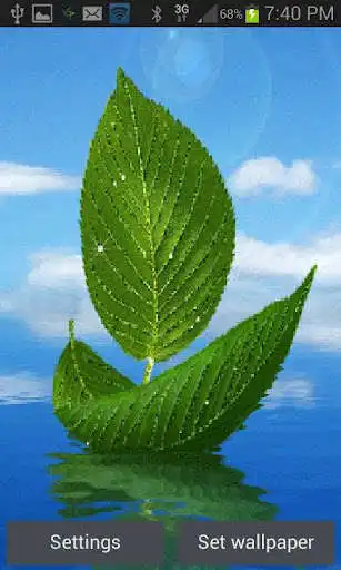 Play Leaf Boat Shine LWP  and enjoy Leaf Boat Shine LWP with UptoPlay