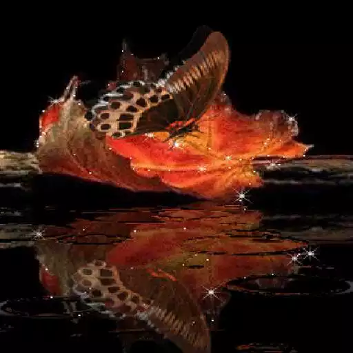 Play Leaf Butterfly Live Wallpaper APK