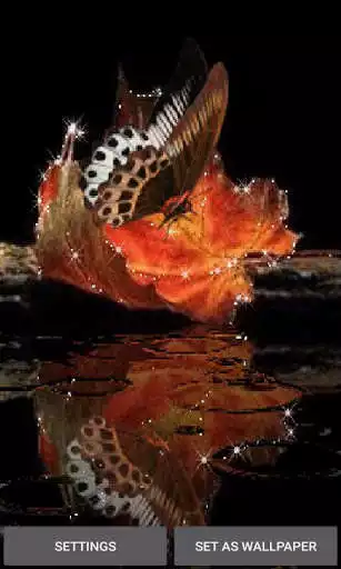 Play Leaf Butterfly Live Wallpaper  and enjoy Leaf Butterfly Live Wallpaper with UptoPlay