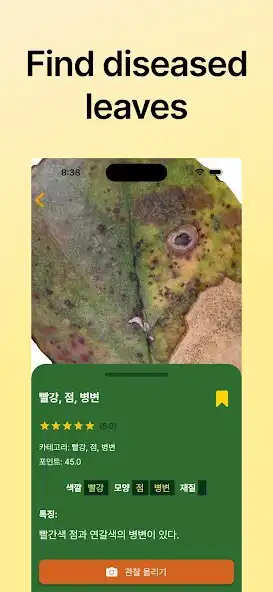 Play Leaf Exploration  and enjoy Leaf Exploration with UptoPlay