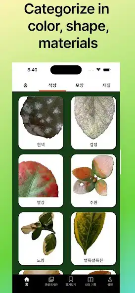 Play Leaf Exploration as an online game Leaf Exploration with UptoPlay