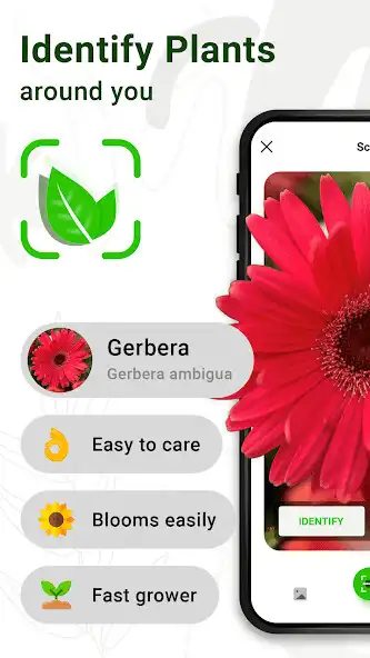 Play LeafID: AI Plant Identifier  and enjoy LeafID: AI Plant Identifier with UptoPlay