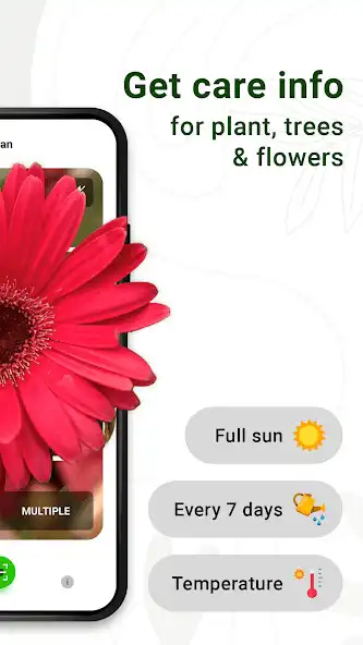 Play LeafID: AI Plant Identifier as an online game LeafID: AI Plant Identifier with UptoPlay