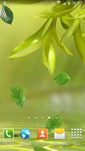 Play Leaf Live Wallpaper Play Leaf Live Wallpaper