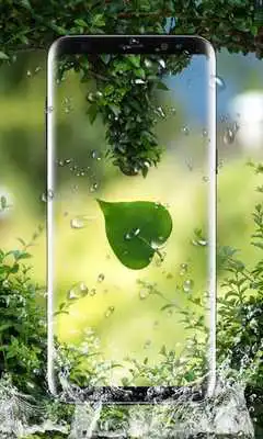 Play Leaf Live Wallpaper Play Leaf Live Wallpaper
