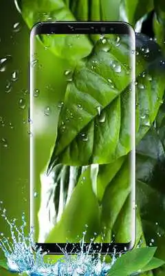 Play Leaf Live Wallpaper Play Leaf Live Wallpaper