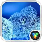 Free play online Leaf Locker LWP APK Free play online Leaf Locker LWP APK