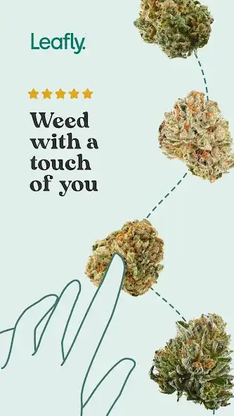 Play Leafly: Find Cannabis and CBD  and enjoy Leafly: Find Cannabis and CBD with UptoPlay