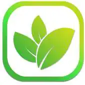 Free play online Leaf Notes APK