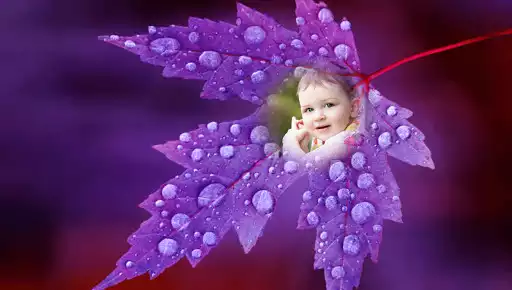Play Leaf Photo Frames