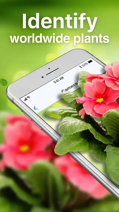 Play LeafSnap Plant Identification  and enjoy LeafSnap Plant Identification with UptoPlay