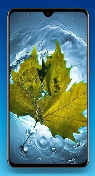 Play Leaf Wallpaper 4K  and enjoy Leaf Wallpaper 4K with UptoPlay