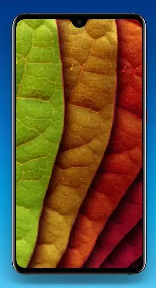 Play Leaf Wallpaper 4K as an online game Leaf Wallpaper 4K with UptoPlay