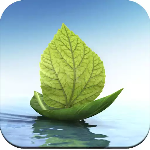 Play Leaf Wallpaper HD APK Play Leaf Wallpaper HD APK