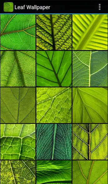 Play Leaf Wallpaper  and enjoy Leaf Wallpaper with UptoPlay