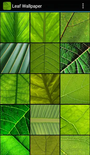 Play Leaf Wallpaper as an online game Leaf Wallpaper with UptoPlay