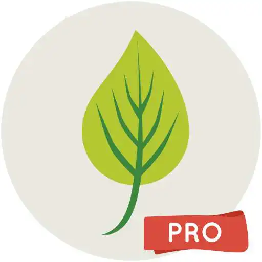 Free play online Leaf Wallpapers Pro  APK