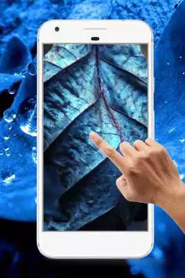 Play Leaf Water Ripple Live Wallpaper