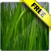 Free play online Leafy Free live wallpaper APK