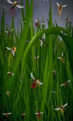 Play Leafy Free live wallpaper