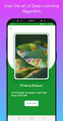 Play LEAFY as an online game online LEAFY with UptoPlay com.leaf.gesch.leaf Play LEAFY as an online game LEAFY with UptoPlay