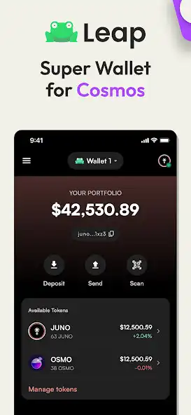 Play Leap - Cosmos Wallet  and enjoy Leap - Cosmos Wallet with UptoPlay