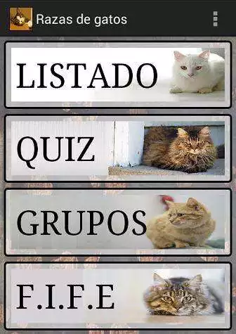 Play Learn about cat breeds  and enjoy Learn about cat breeds with UptoPlay