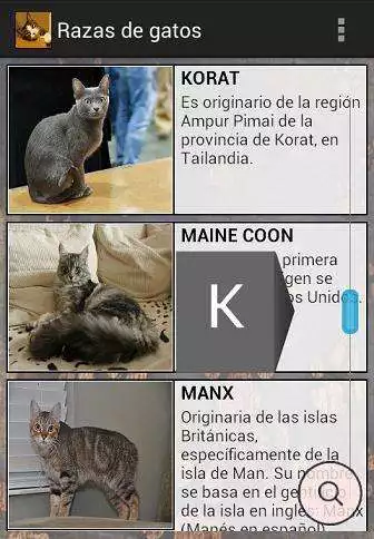 Play Learn about cat breeds as an online game Learn about cat breeds with UptoPlay