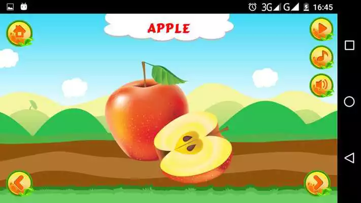 Play Learn About Fruits