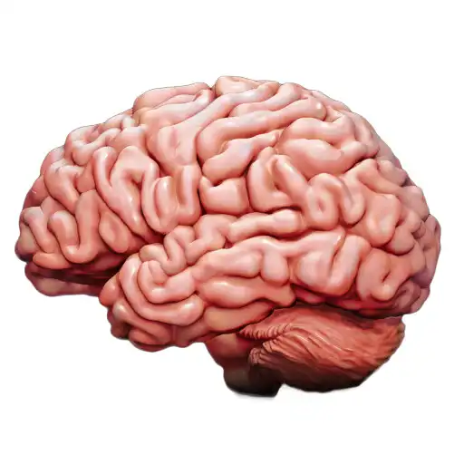 Play Learn About Human Organs APK Play Learn About Human Organs APK