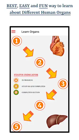 Play Learn About Human Organs  and enjoy Learn About Human Organs with UptoPlay
